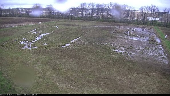 Cell 3_24-04-19_08-02-29-33