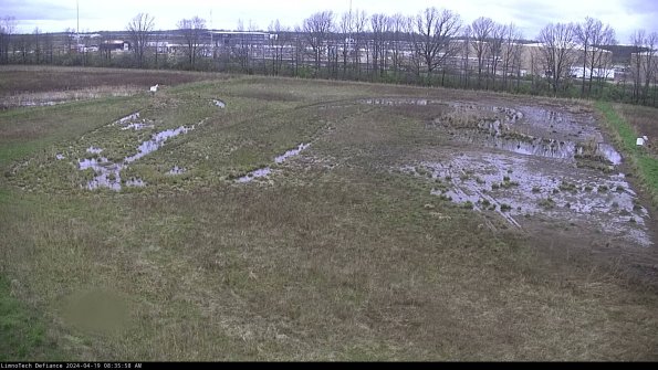 Cell 3_24-04-19_08-35-59-35