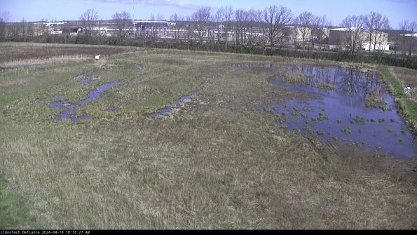 Cell 3_24-04-19_10-16-27-60