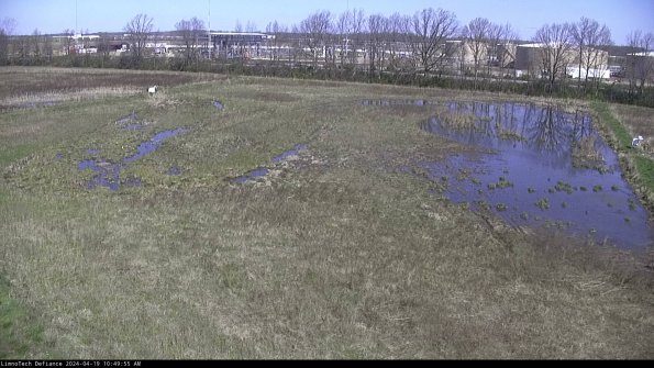 Cell 3_24-04-19_10-49-56-32