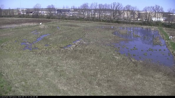 Cell 3_24-04-19_11-23-24-60