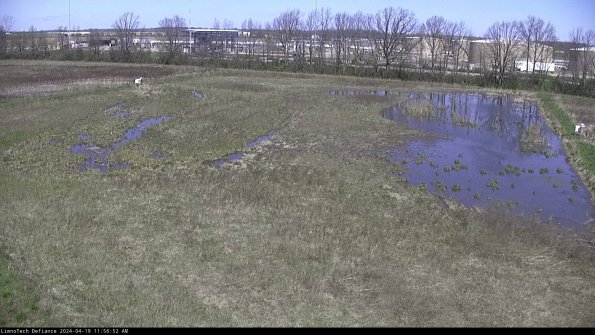 Cell 3_24-04-19_11-56-53-32