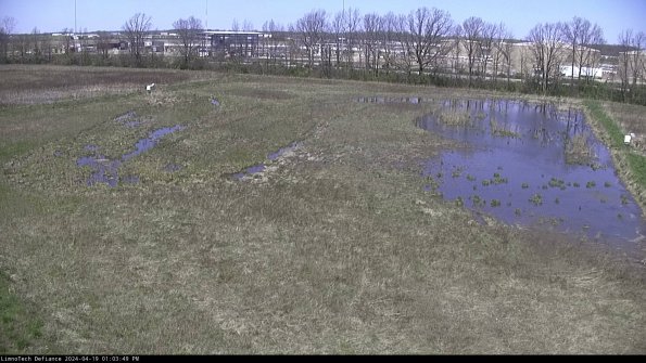 Cell 3_24-04-19_13-03-50-32