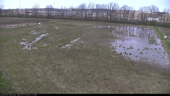 Cell 3_24-04-19_15-51-18-35