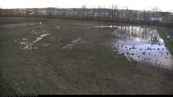 Cell 3_24-04-19_19-45-44-34