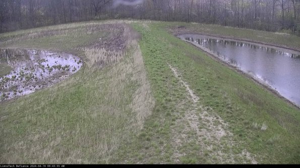 Cell 4 to Basin_24-04-19_09-43-56-37