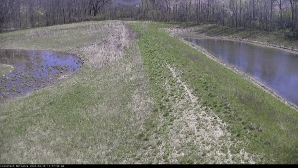 Cell 4 to Basin_24-04-19_11-57-51-34