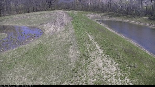 Cell 4 to Basin_24-04-19_12-31-19-33