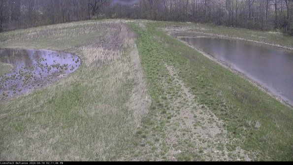 Cell 4 to Basin_24-04-19_14-11-47-32