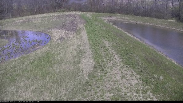 Cell 4 to Basin_24-04-19_14-45-17-34