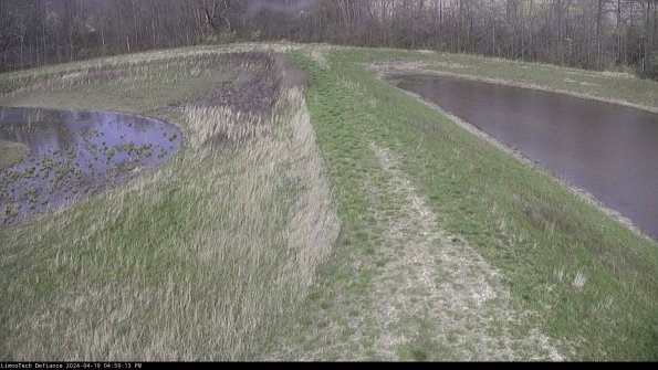 Cell 4 to Basin_24-04-19_16-59-14-34