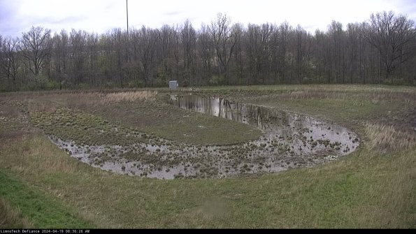 Cell 4_24-04-19_08-36-27-34