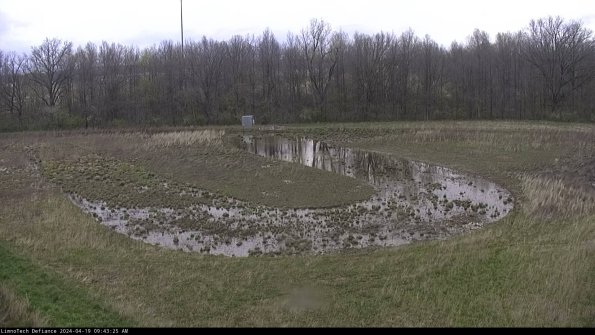 Cell 4_24-04-19_09-43-26-34