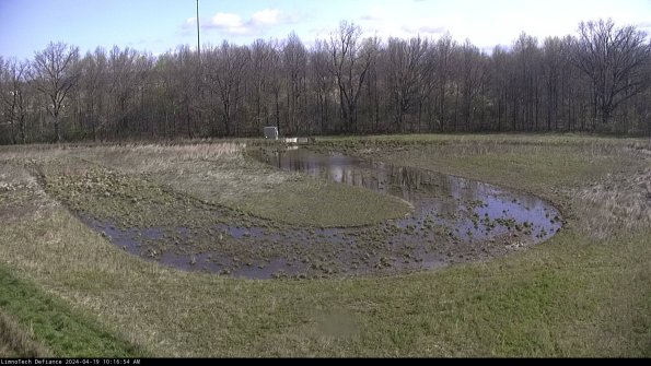 Cell 4_24-04-19_10-16-55-33