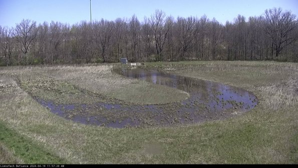 Cell 4_24-04-19_11-57-21-35