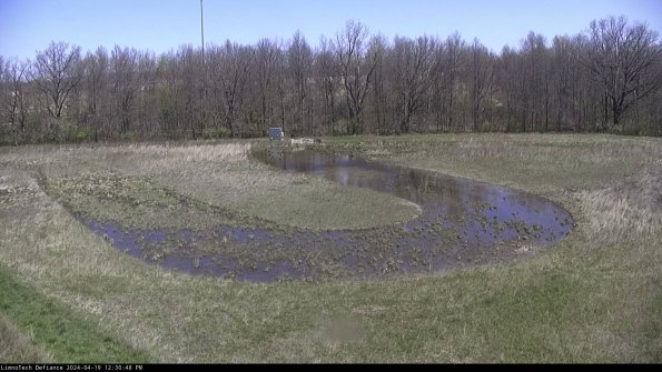 Cell 4_24-04-19_12-30-49-33