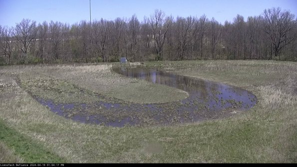 Cell 4_24-04-19_13-04-18-31