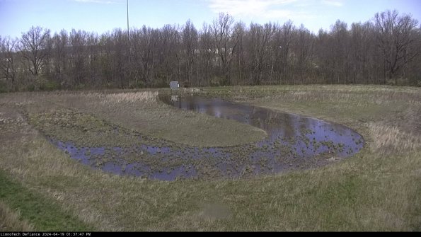 Cell 4_24-04-19_13-37-48-33