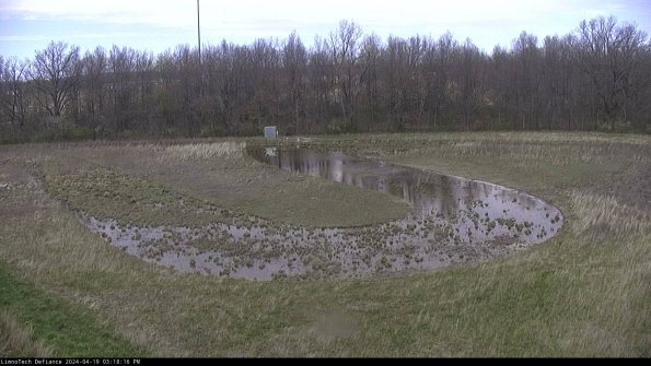 Cell 4_24-04-19_15-18-17-36