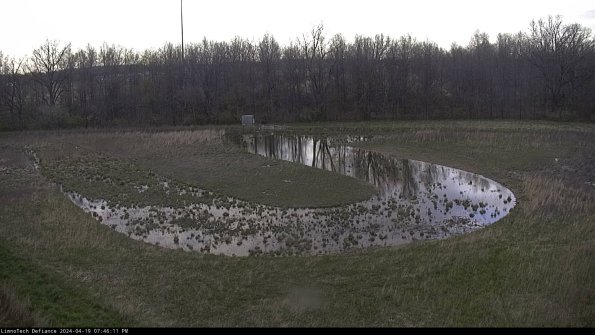 Cell 4_24-04-19_19-46-12-34