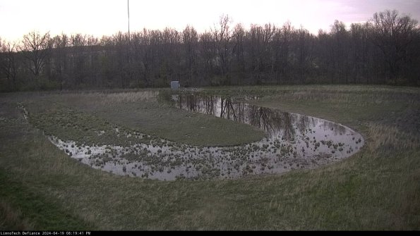 Cell 4_24-04-19_20-19-42-32