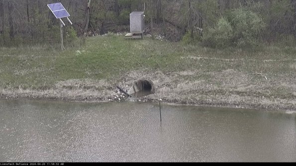 Basin Inflow_24-04-20_11-58-33-33