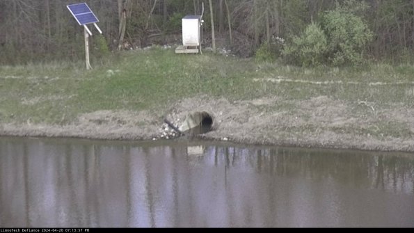 Basin Inflow_24-04-20_19-13-57-49