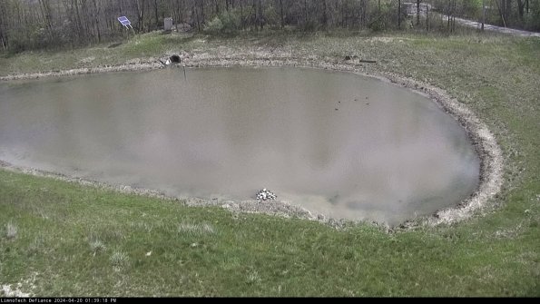 Basin Right_24-04-20_13-39-19-33