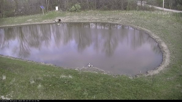 Basin Right_24-04-20_19-14-13-31