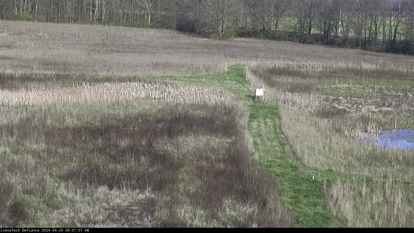 Cell 1 to 2_24-04-20_08-01-58-32