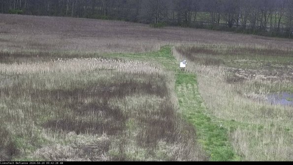 Cell 1 to 2_24-04-20_09-42-29-34