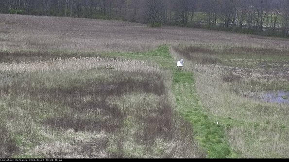 Cell 1 to 2_24-04-20_10-49-29-30