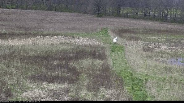 Cell 1 to 2_24-04-20_11-56-28-34