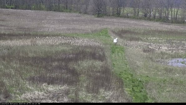 Cell 1 to 2_24-04-20_13-03-28-31