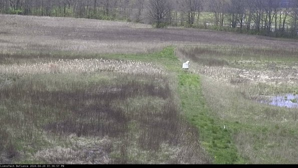 Cell 1 to 2_24-04-20_13-36-58-33