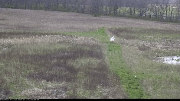 Cell 1 to 2_24-04-20_14-10-27-31