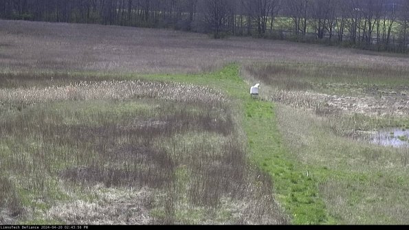 Cell 1 to 2_24-04-20_14-43-57-33