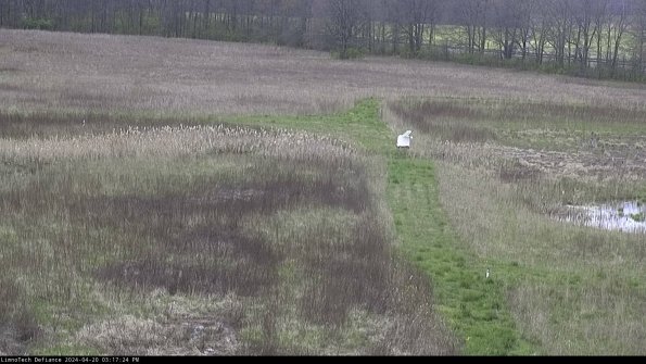 Cell 1 to 2_24-04-20_15-17-25-31