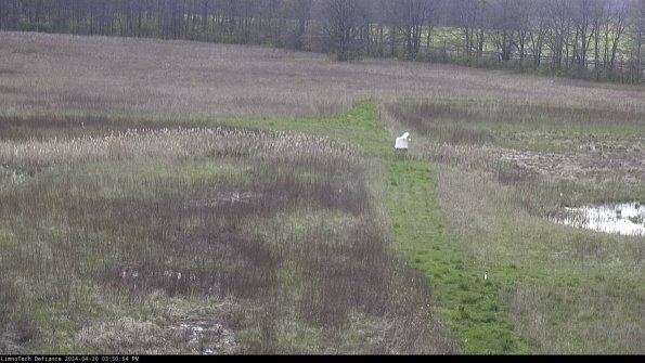 Cell 1 to 2_24-04-20_15-50-55-33