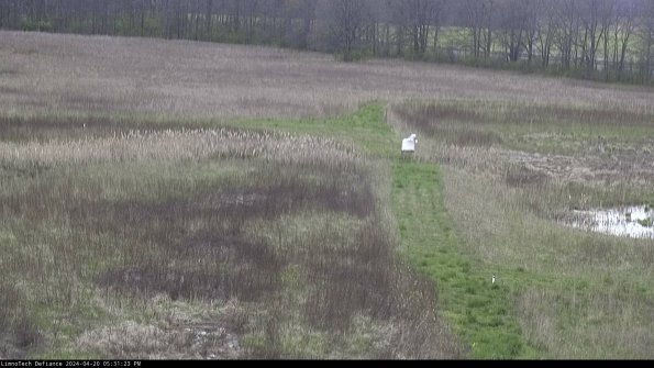 Cell 1 to 2_24-04-20_17-31-24-32