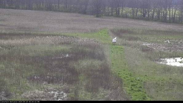 Cell 1 to 2_24-04-20_18-04-53-34