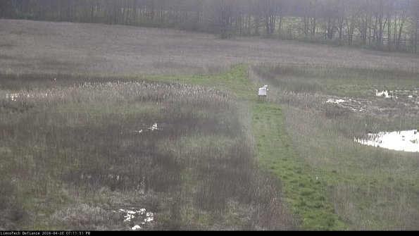 Cell 1 to 2_24-04-20_19-11-52-33