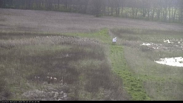 Cell 1 to 2_24-04-20_19-45-21-31