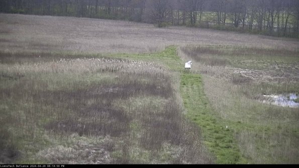 Cell 1 to 2_24-04-20_20-18-51-34