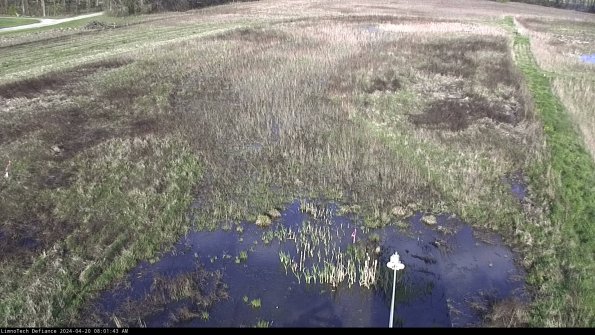 Cell 1_24-04-20_08-01-44-34