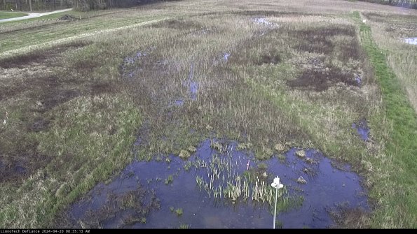 Cell 1_24-04-20_08-35-14-32