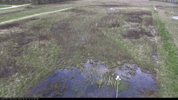 Cell 1_24-04-20_10-15-45-31