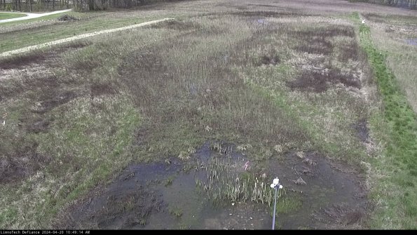 Cell 1_24-04-20_10-49-15-32