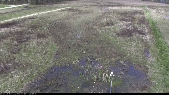 Cell 1_24-04-20_11-22-45-31