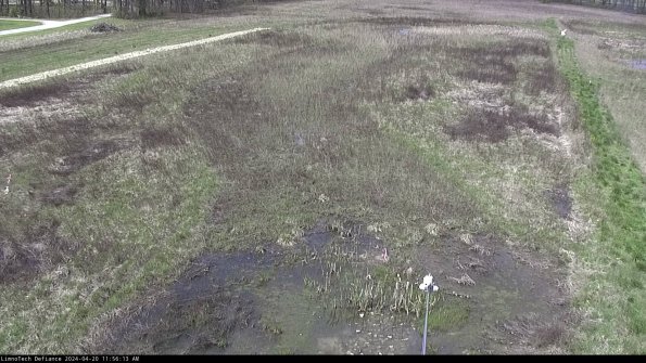 Cell 1_24-04-20_11-56-14-33